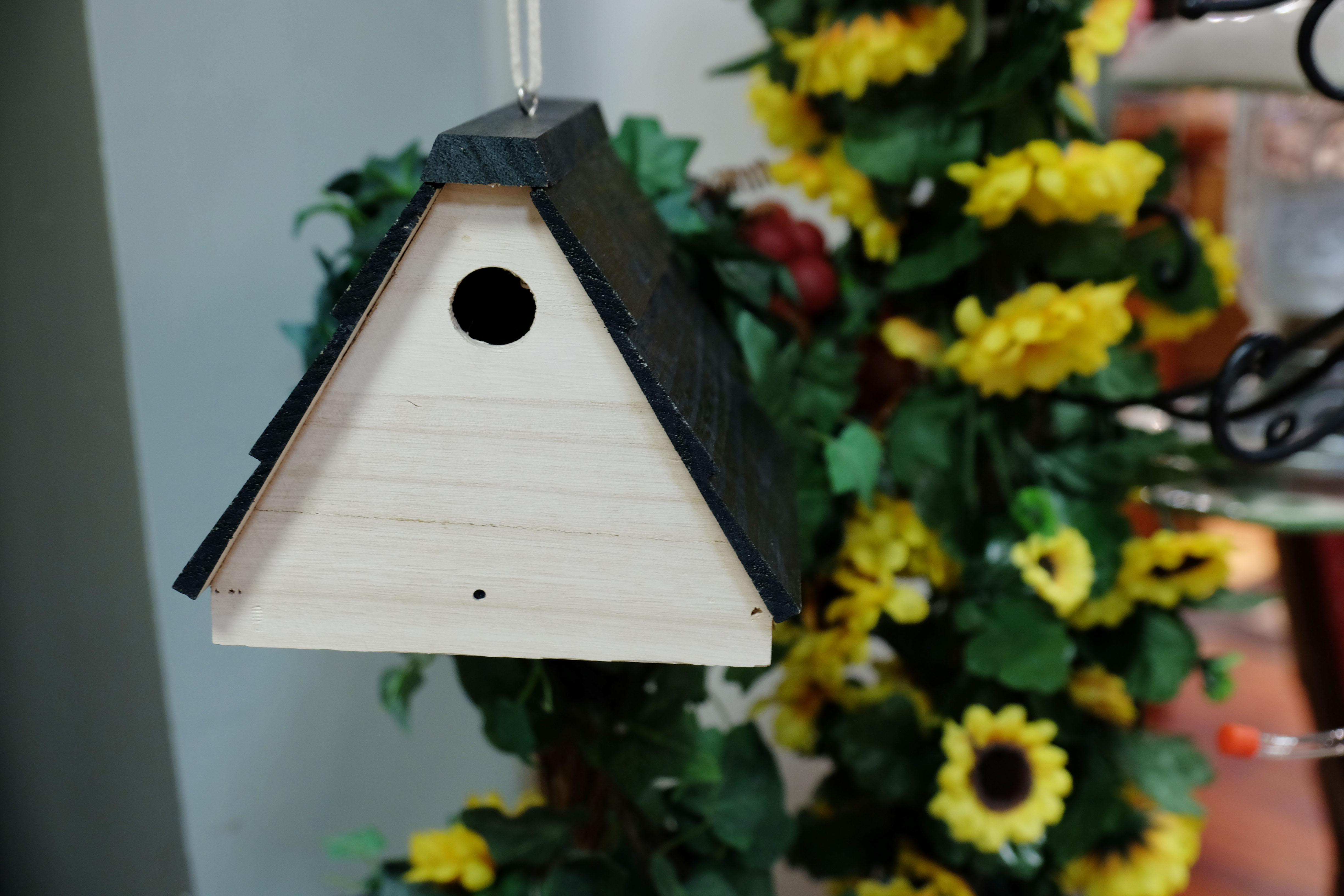 bird house hidden camera